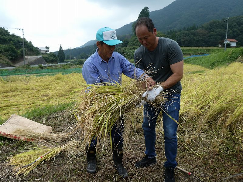 平成31年 中南米日系農業者等との連携交流・ビジネス創出委託事業 2019年10月1日 | 実績報告 | NPO法人 ふぞろいプロジェクト