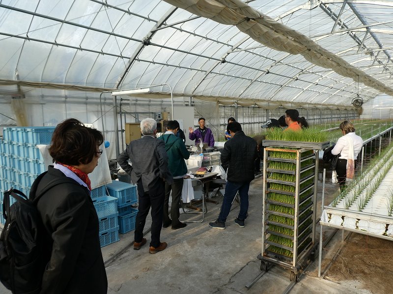 平成31年 中南米日系農業者等との連携交流・ビジネス創出委託事業 2019年11月11日 | 実績報告 | NPO法人 ふぞろいプロジェクト